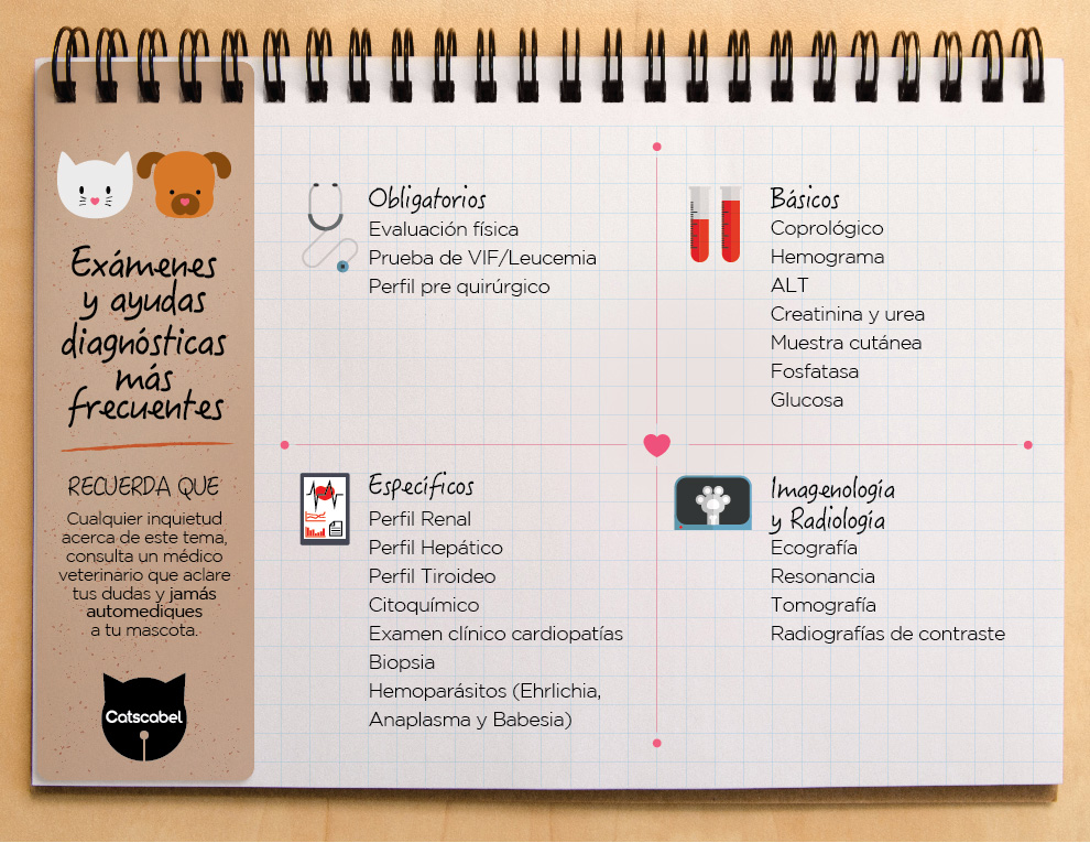 CONTROLES MEDICOS-01