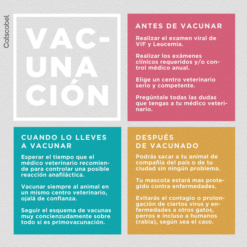VACUNACION 3